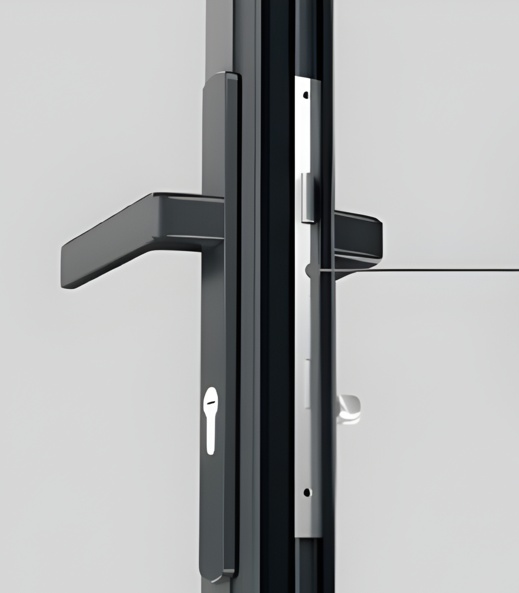 VLX 100 Swing / Entry Door in Lauderhill, FL | TruePane Windows & Doors - detail 5